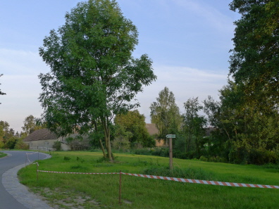 Der neue Übungsplatz nahe dem Rohrpfluhl