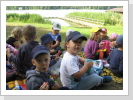 Picknick am Hardenbecker Hausseee Picknick am Hardenbecker Hausseee